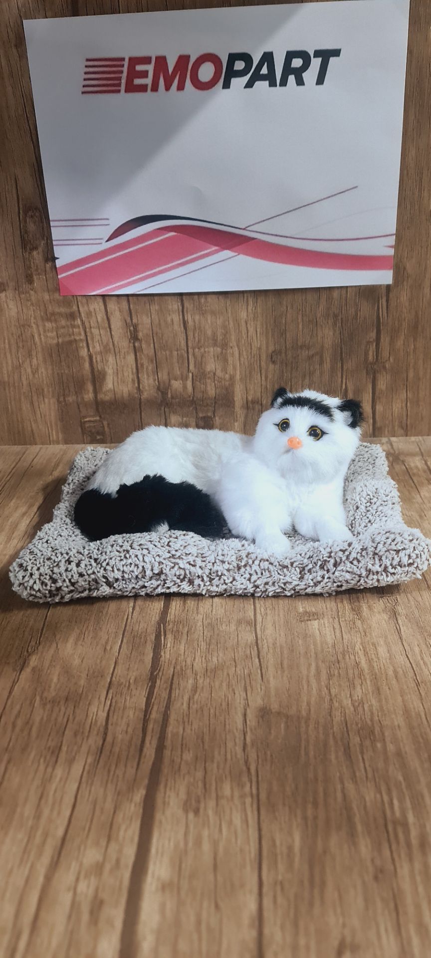 پد گربه رو داشبورد