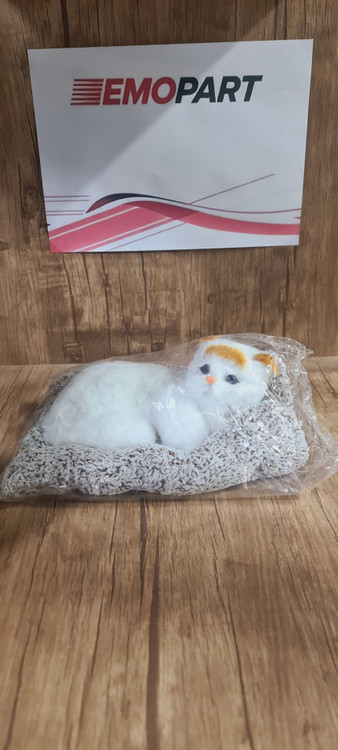 گربه رو داشبورد