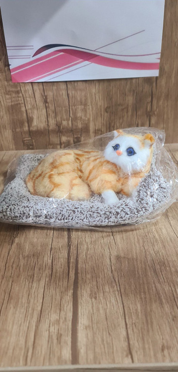 گربه داشبورد ماشین