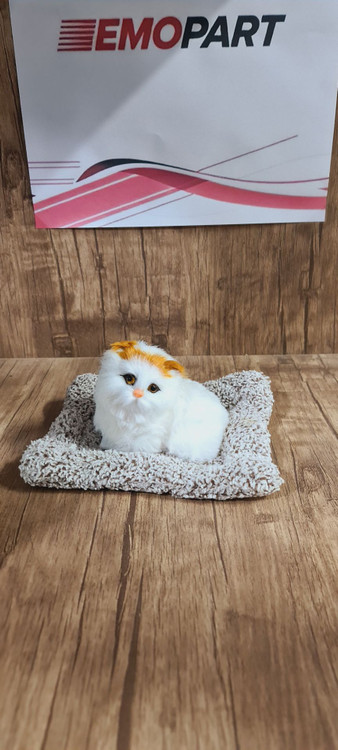 گربه رو داشبوردی