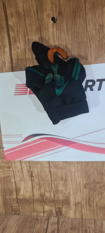 هودی برای دنده