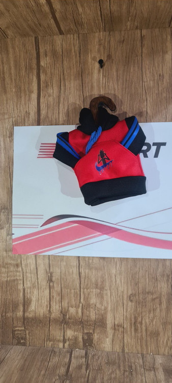 هودی دنده ماشین