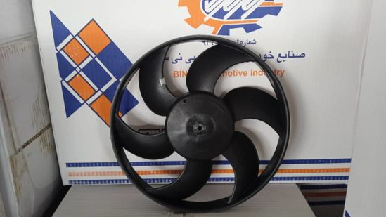 پروانه فن پژو بی نی سی