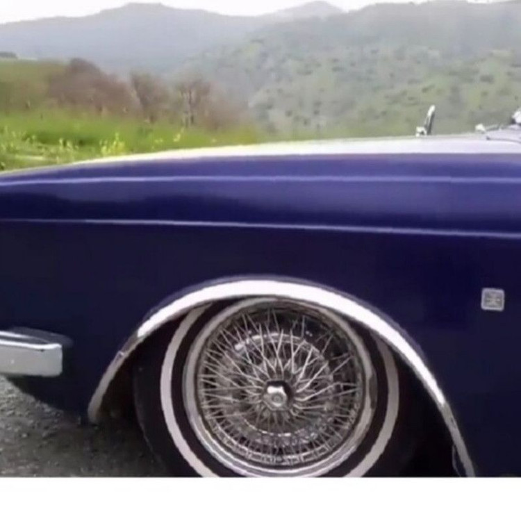 زه گلگیر استیل پیکان