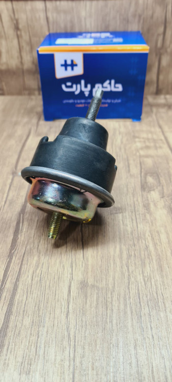 دسته موتور بالا پژو