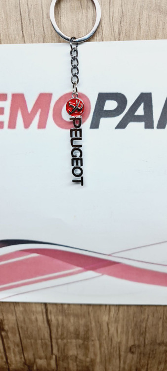 جا کلیدی آرم پژو