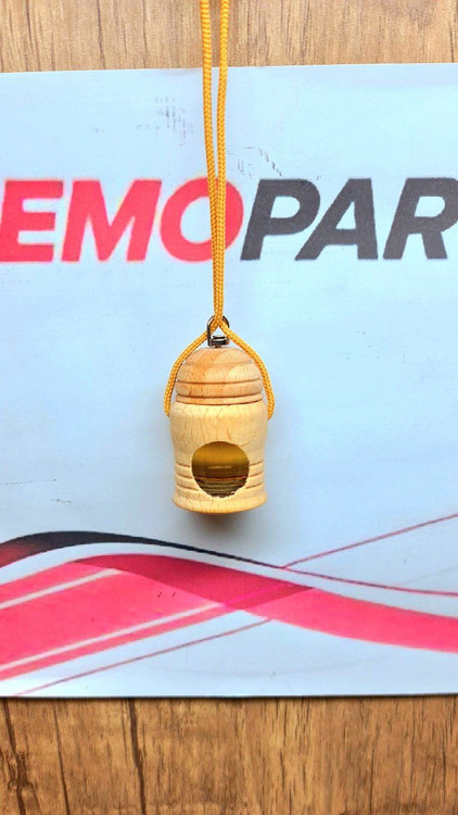 بوگیر خودرو فانوس