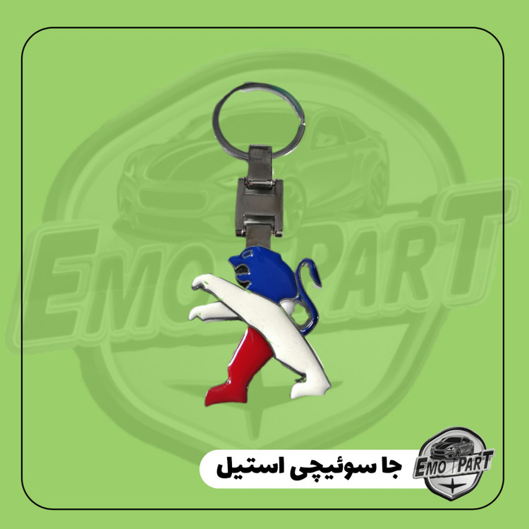 جاسوئیچی طرح پژو