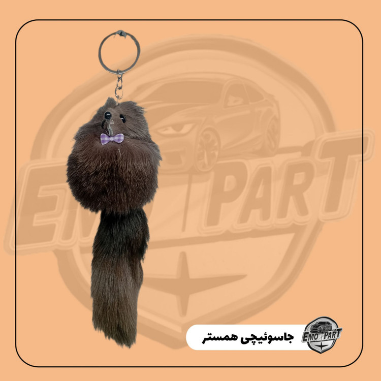 جا سوئیچی فانتزی