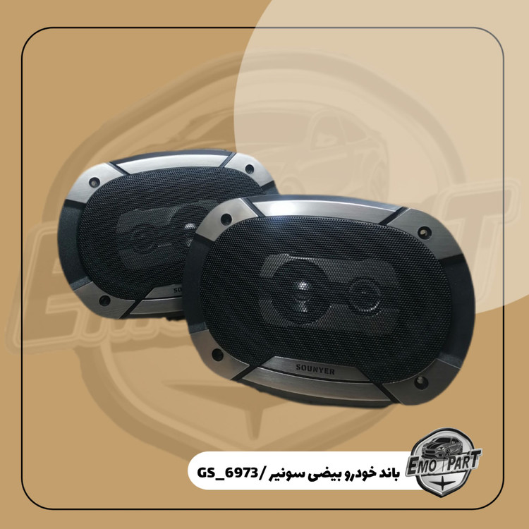 بلندگو خودرو