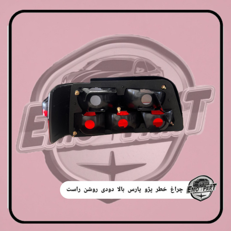 قیمت خطر عقب پژو پارس